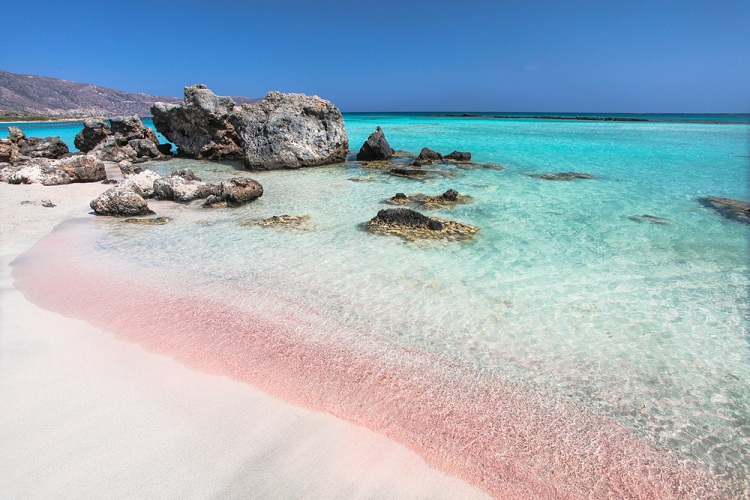 写真提供:Zakhar Mar/shutterstock.com