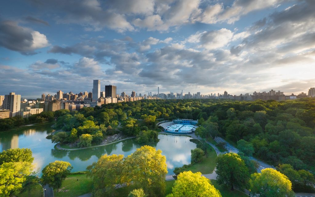 aerial view over central park
