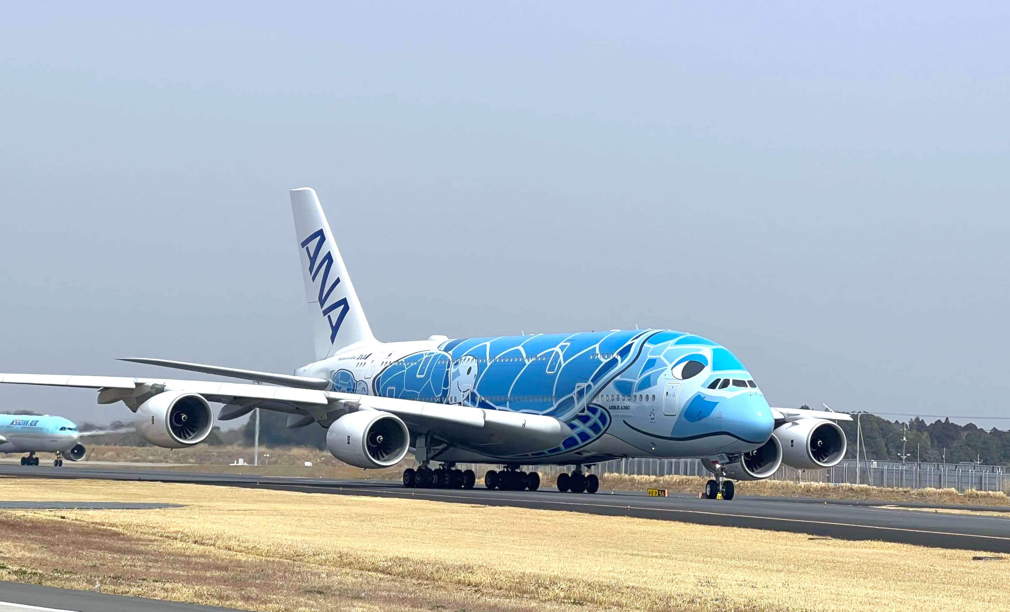 ANA A380 フライングホヌ 1号機 ラニ JA381A 1:400+