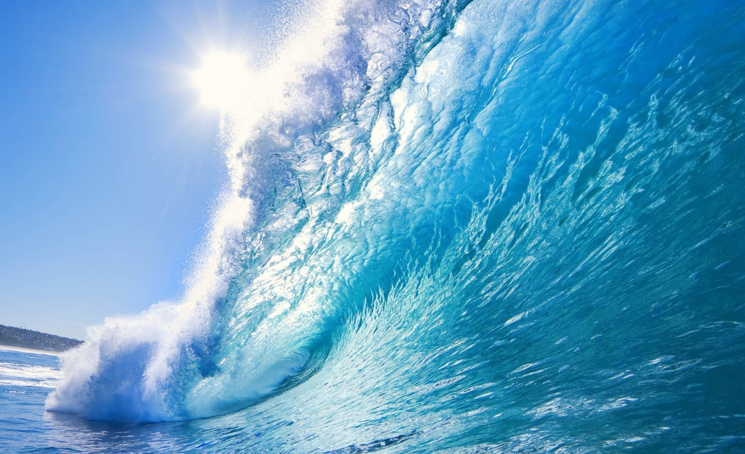 shutterstock_25870990の