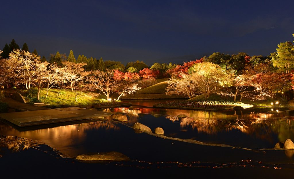 写真提供／京都市都市緑化協会