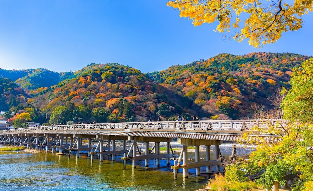 【洛西エリア】風光明媚な景色を楽しむ、嵯峨野・嵐山方面