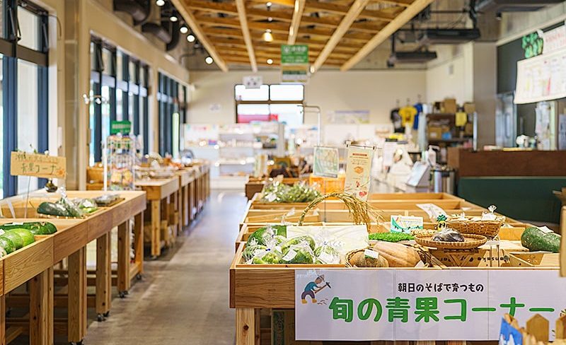 カヤックに乗ってマングローブが生茂る森へ