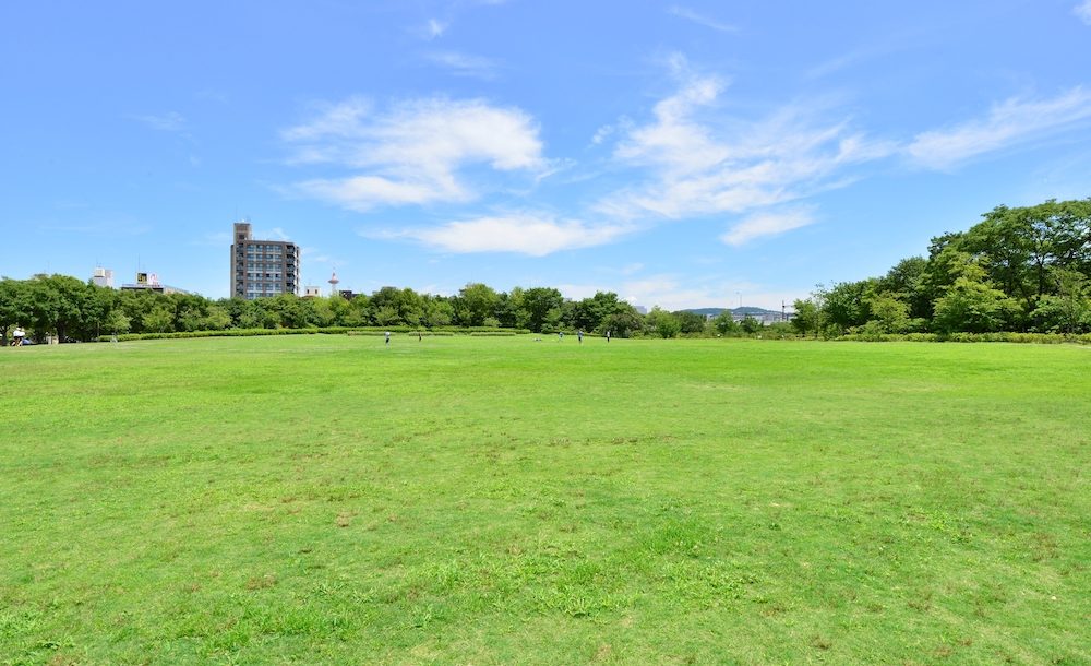 写真提供／京都市都市緑化協会