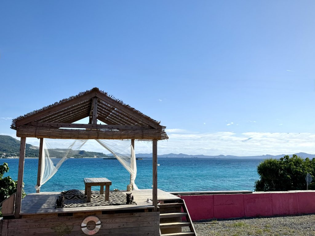 しゃぶしゃぶで「あぐー」食べつくす