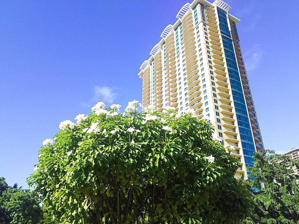 モダンで機能的なザ・グランドアイランダー