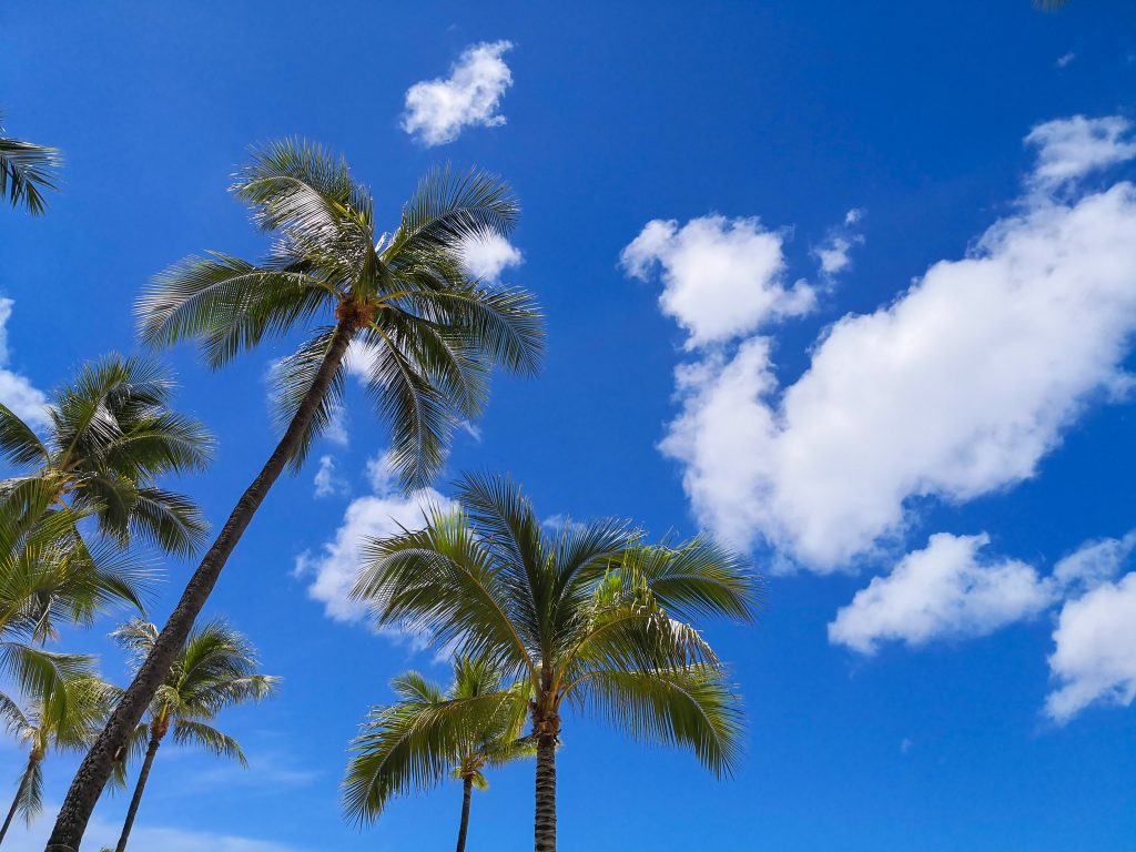 私がHGVタイムシェアを愛してやまない理由 〜オアフ島５リゾート偏愛レビュー〜